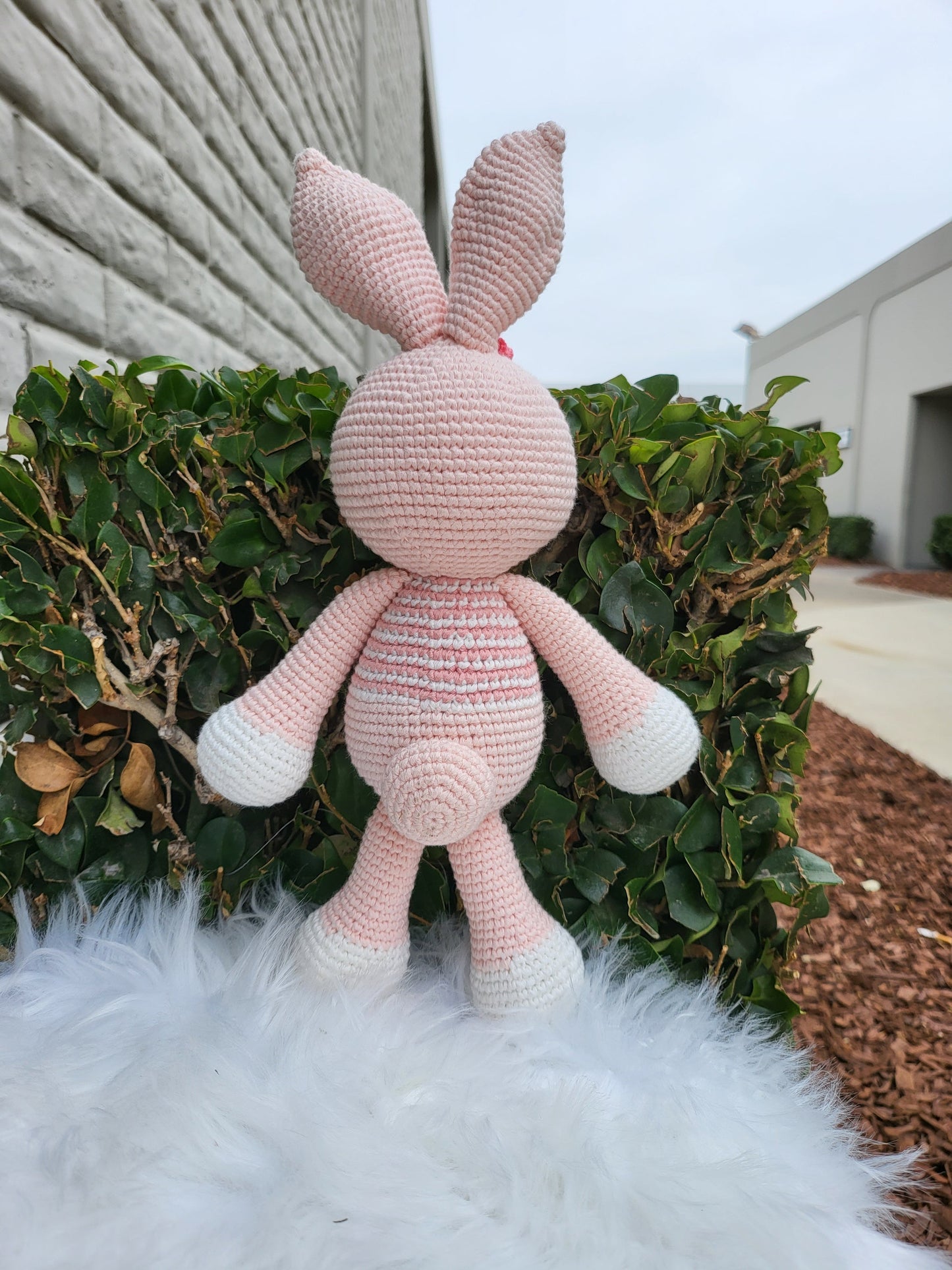 Medium Sitting Rabbit V1