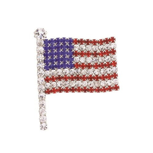 Wave American Flag Pin