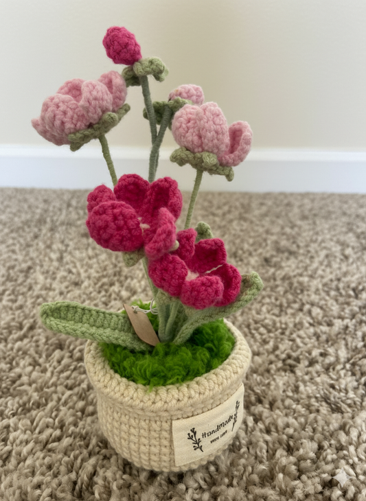 Handmade Crochet Pink Orchid Plant | Elegant Phalaenopsis Desk Decor | Everlasting Floral Gift